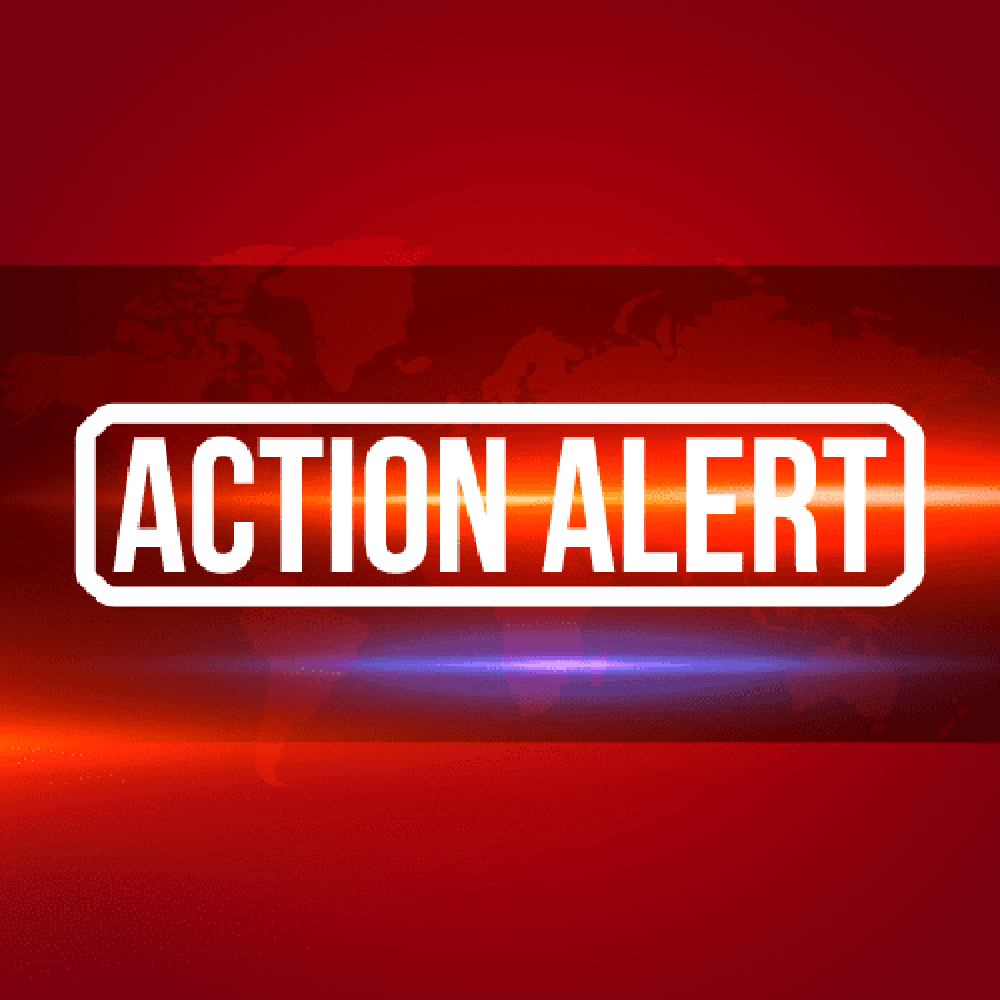 Action Alert